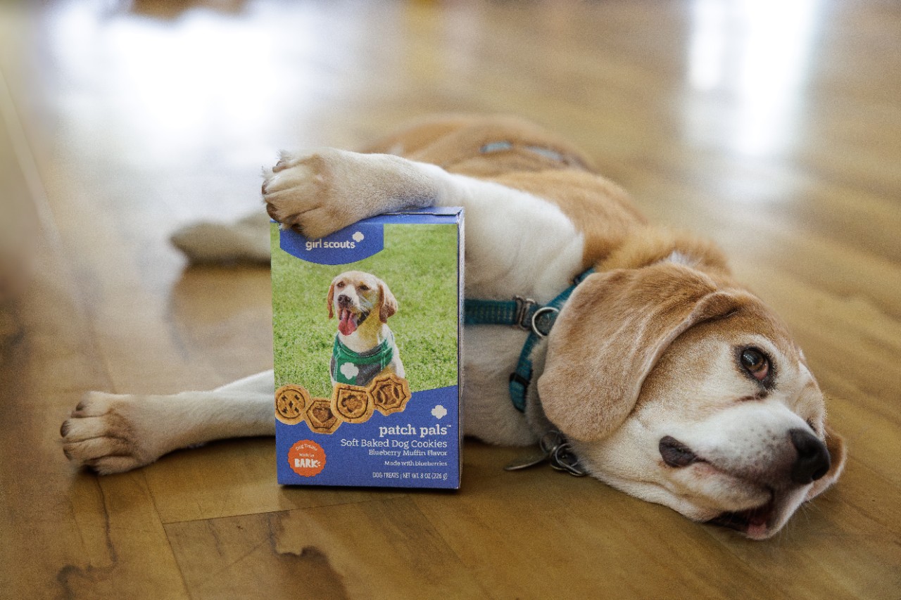 Meet Girl Scout Patch Pals!