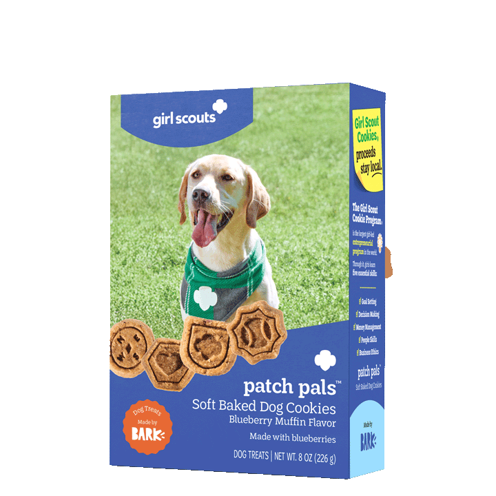 Patch Pals